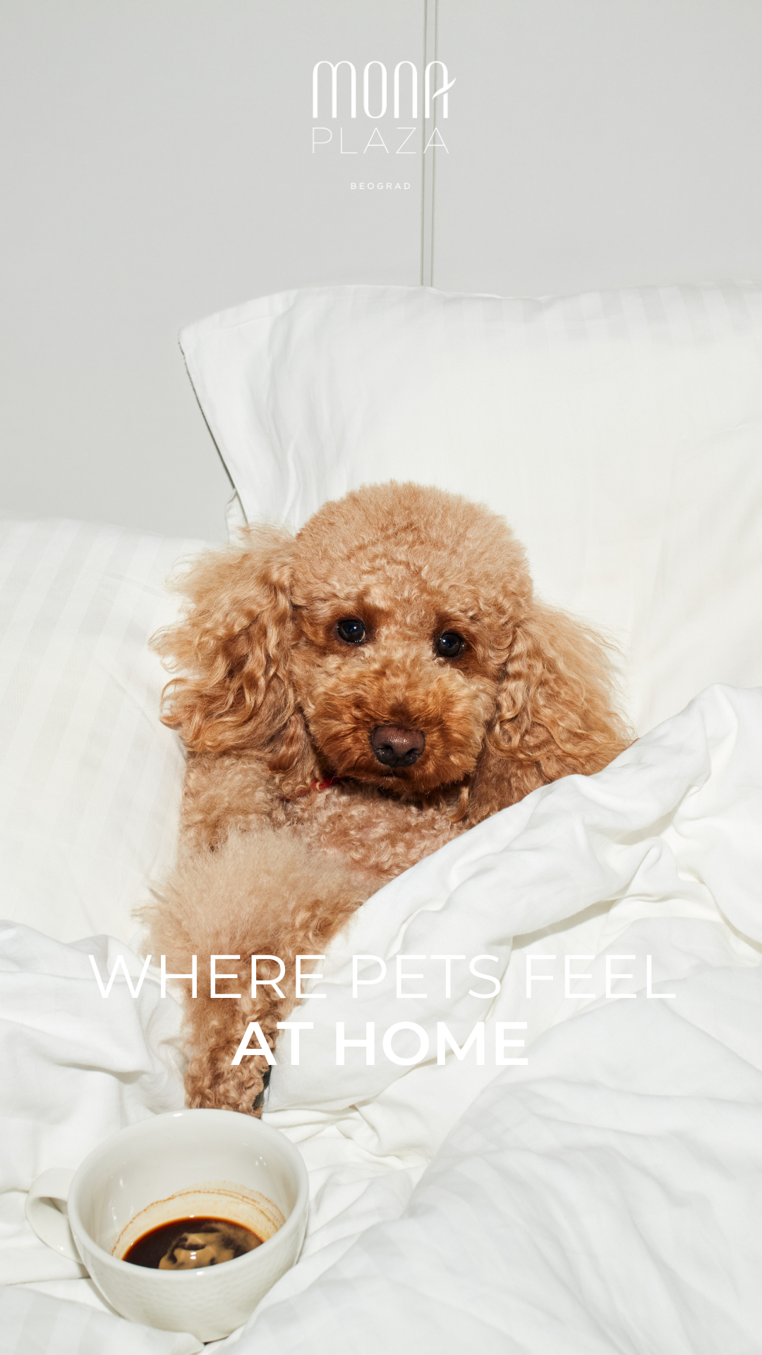 Мона Плаза 10